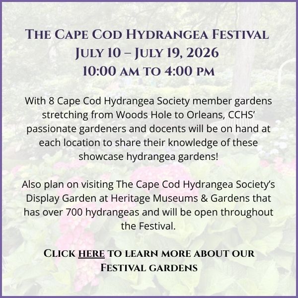 The Cape Cod Hydrangea Festival is July 10 – July 19, 2026